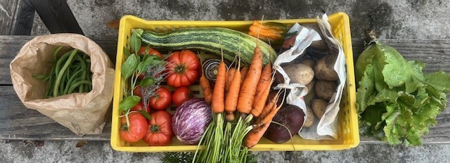 Panier de légumes bio du jardin