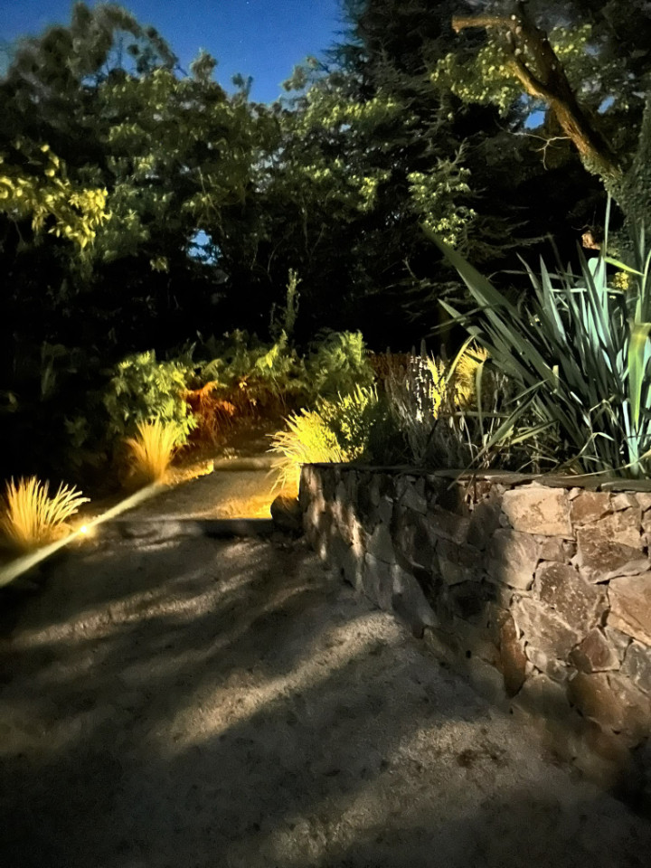 Dehors du lever au coucher au coeur d'une forêt