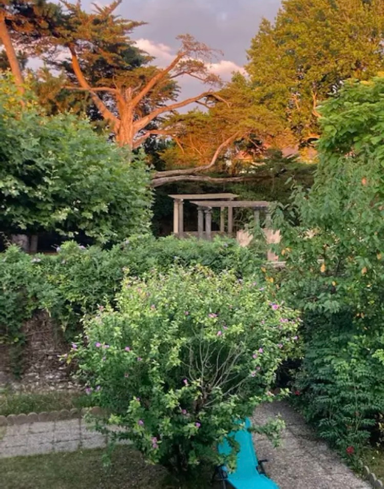 Nichée dans la nature