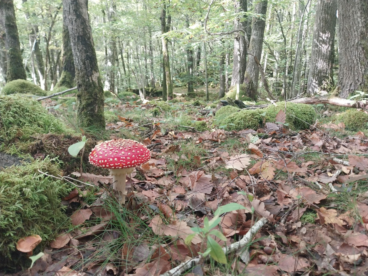 Randonnée depuis les gîtes des cinq chemins