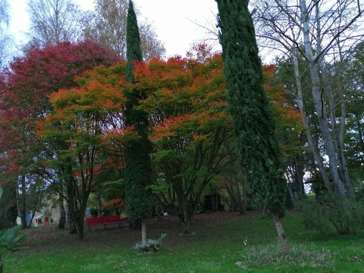 au coeur de notre parc-jardin