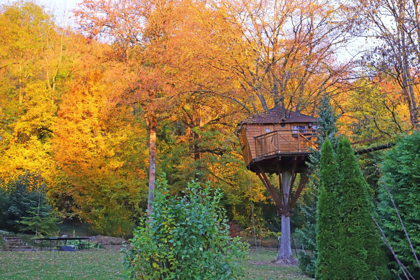 Entre forêt et bords de Marne