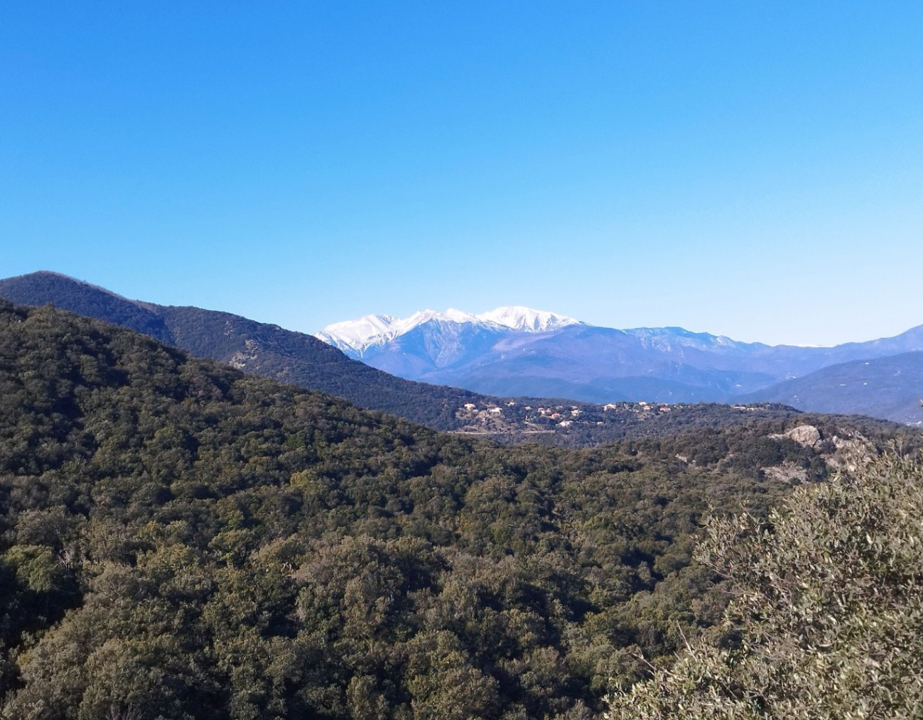La village a une des plus grande fôret de France,