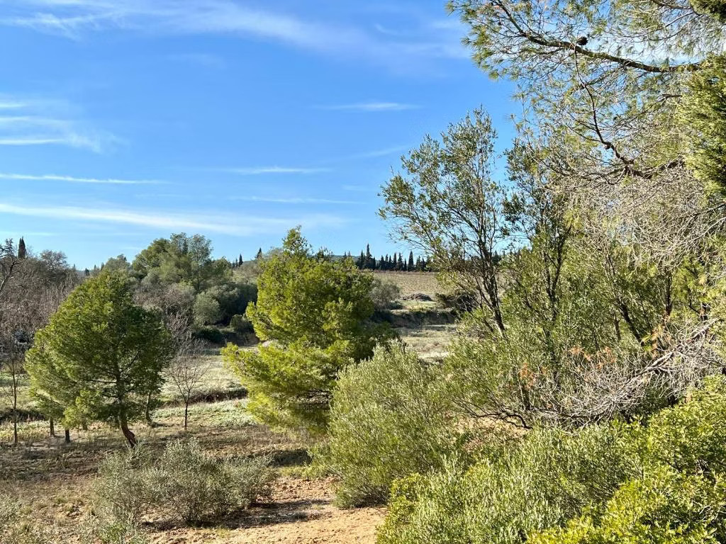 Balades autour du Domaine