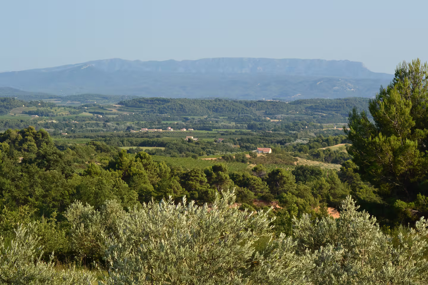 Vue imprenable sur la vallée du Luberon