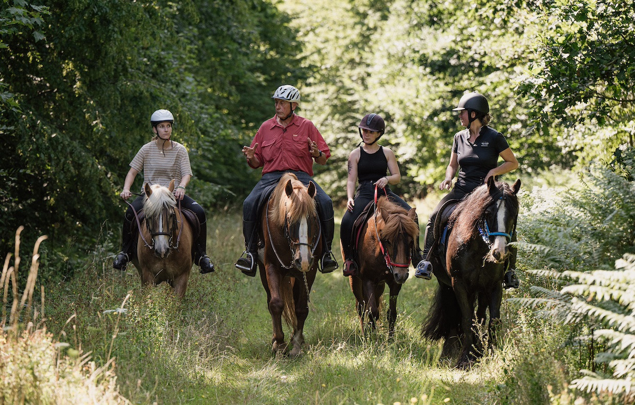 À cheval en pleine nature !