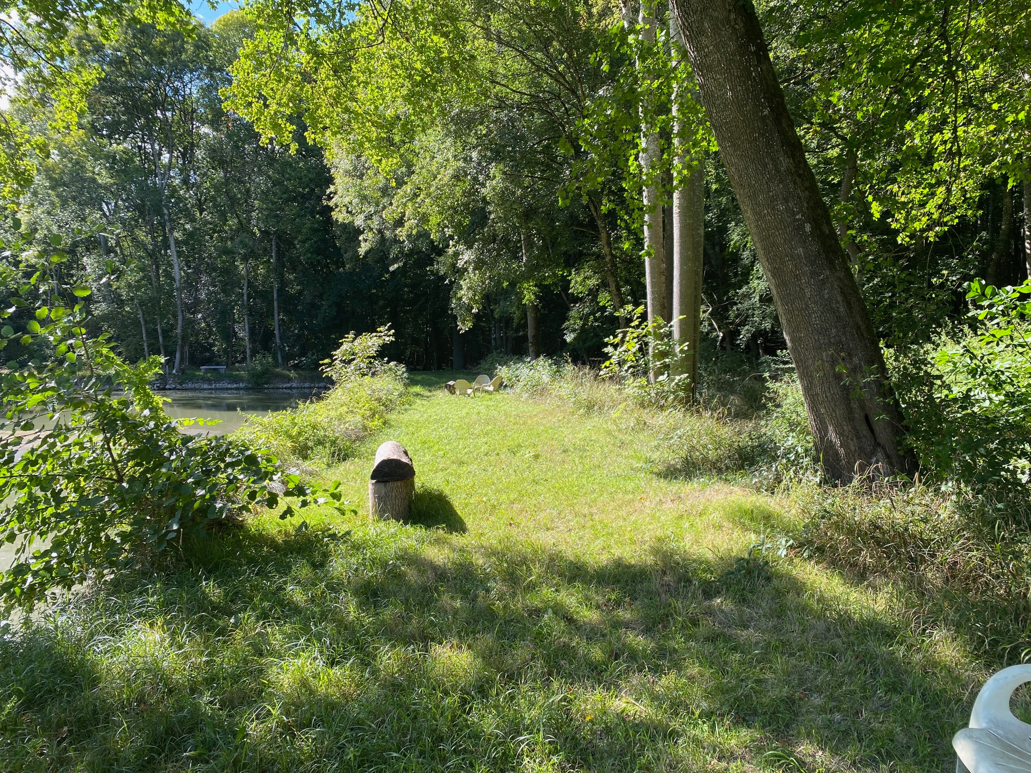 35 HECTARES DE FORET ET UN PETIT ETANG