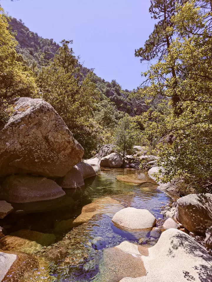 Baignade dans la Figarella