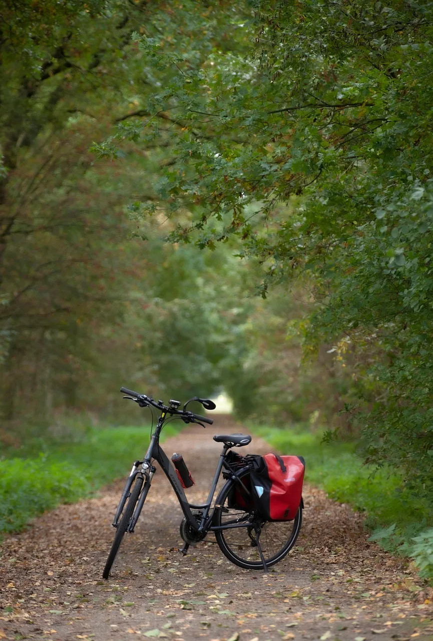 Location de Vélos