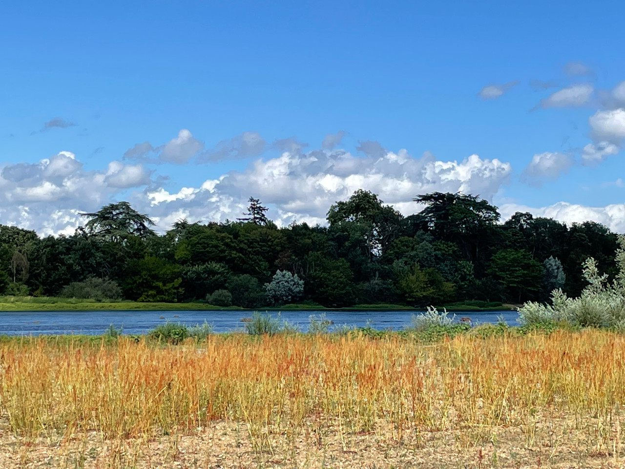 En bord de Loire