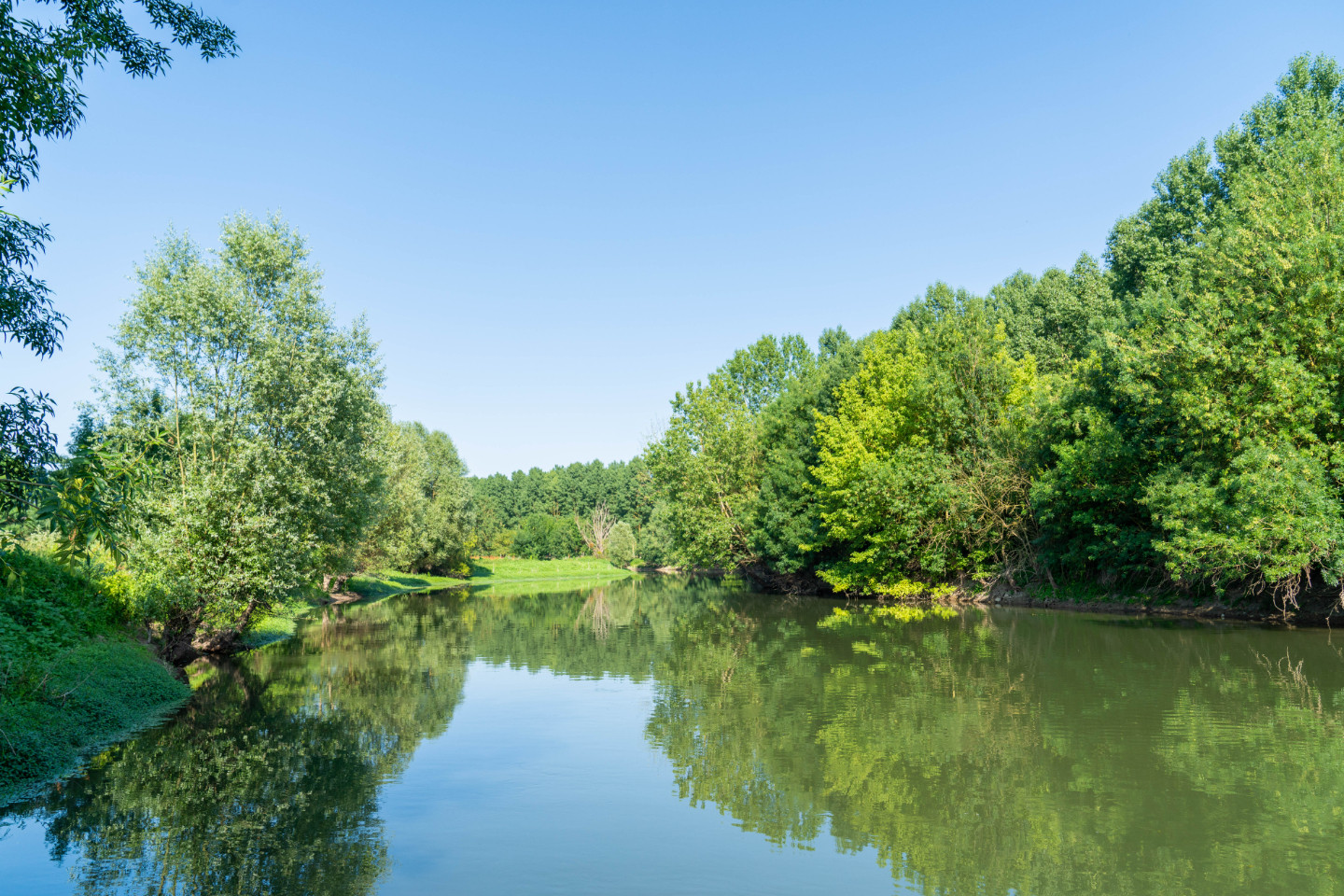 Laissez vous portée par le tranquillité de l'eau