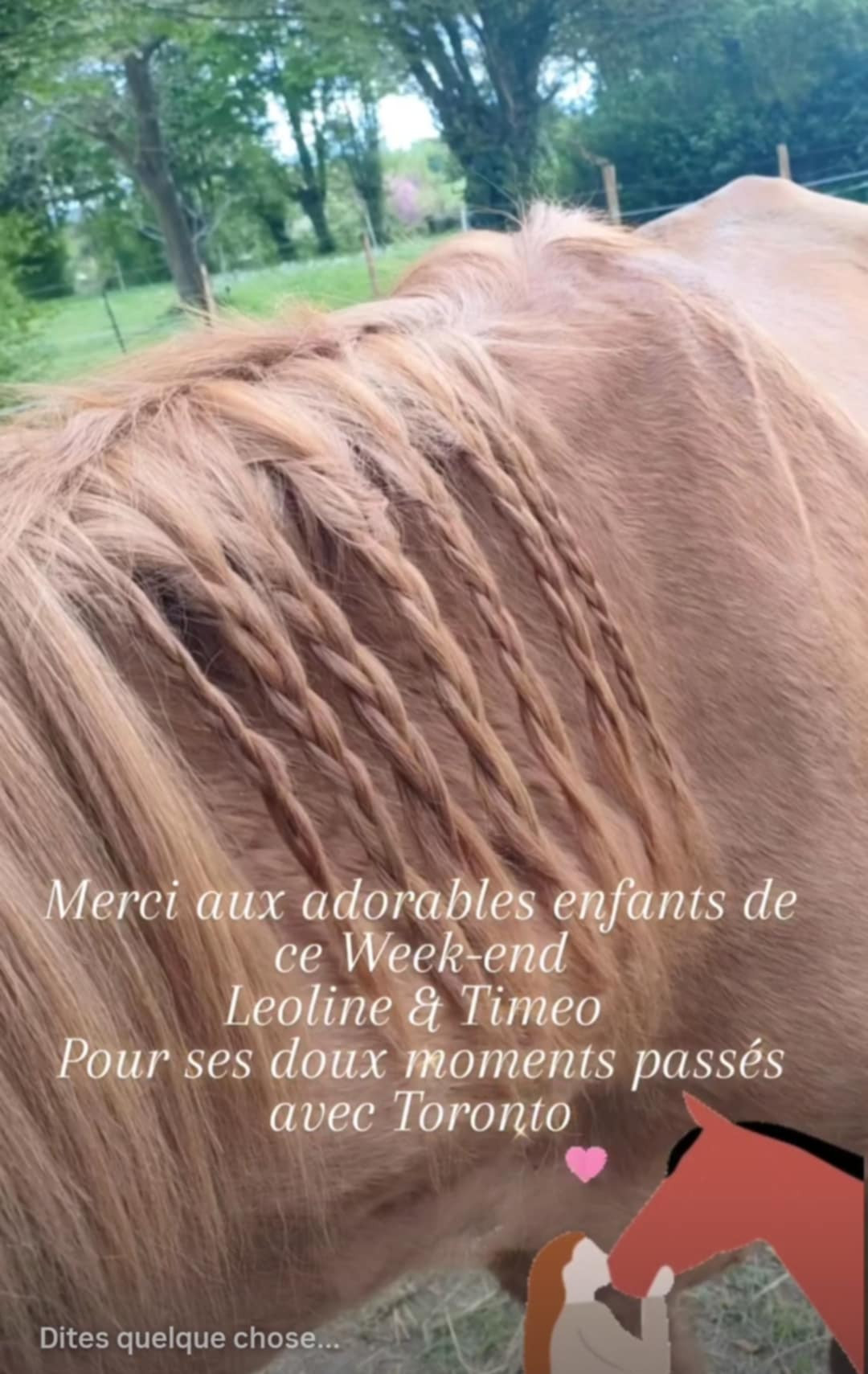 Rencontre avec Toronto notre Cheval