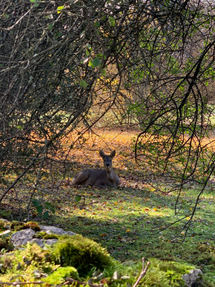 Au coeur du parc naturel régional des causses du Quercy