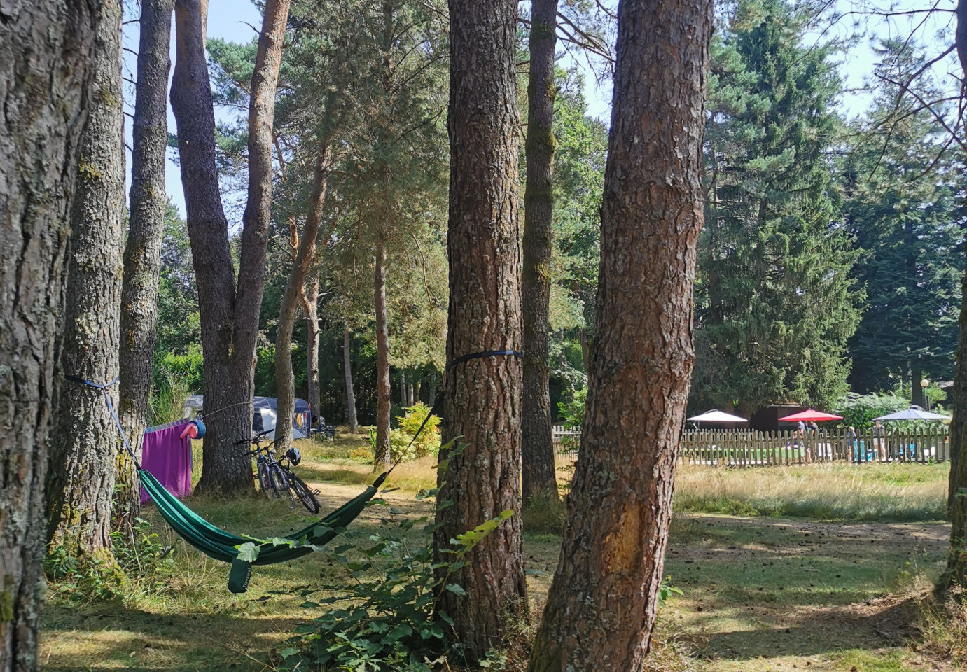 Au coeur de la Forêt Corrézienne