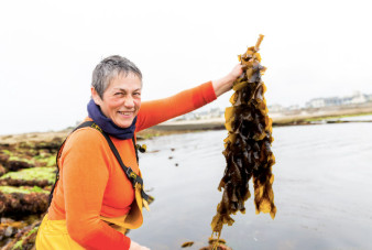 Sorties et cours de cuisine aux algues avec Scarlette Le Corre