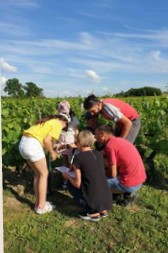 Escape game dans les vignes, visite & dégustation