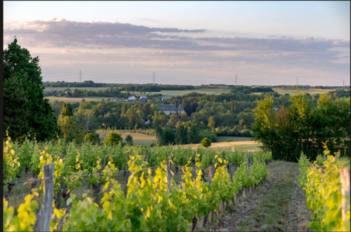 Au cœur de la vallée de la Loire
