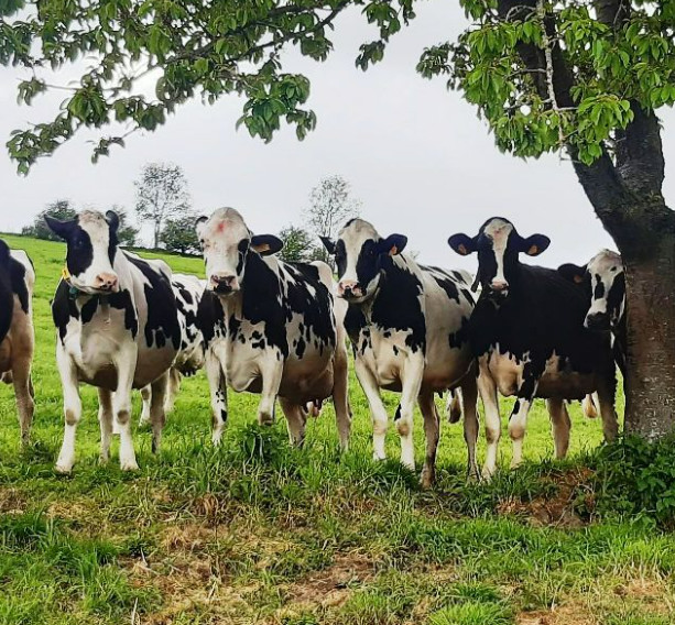 Visite de ferme et ateliers nature