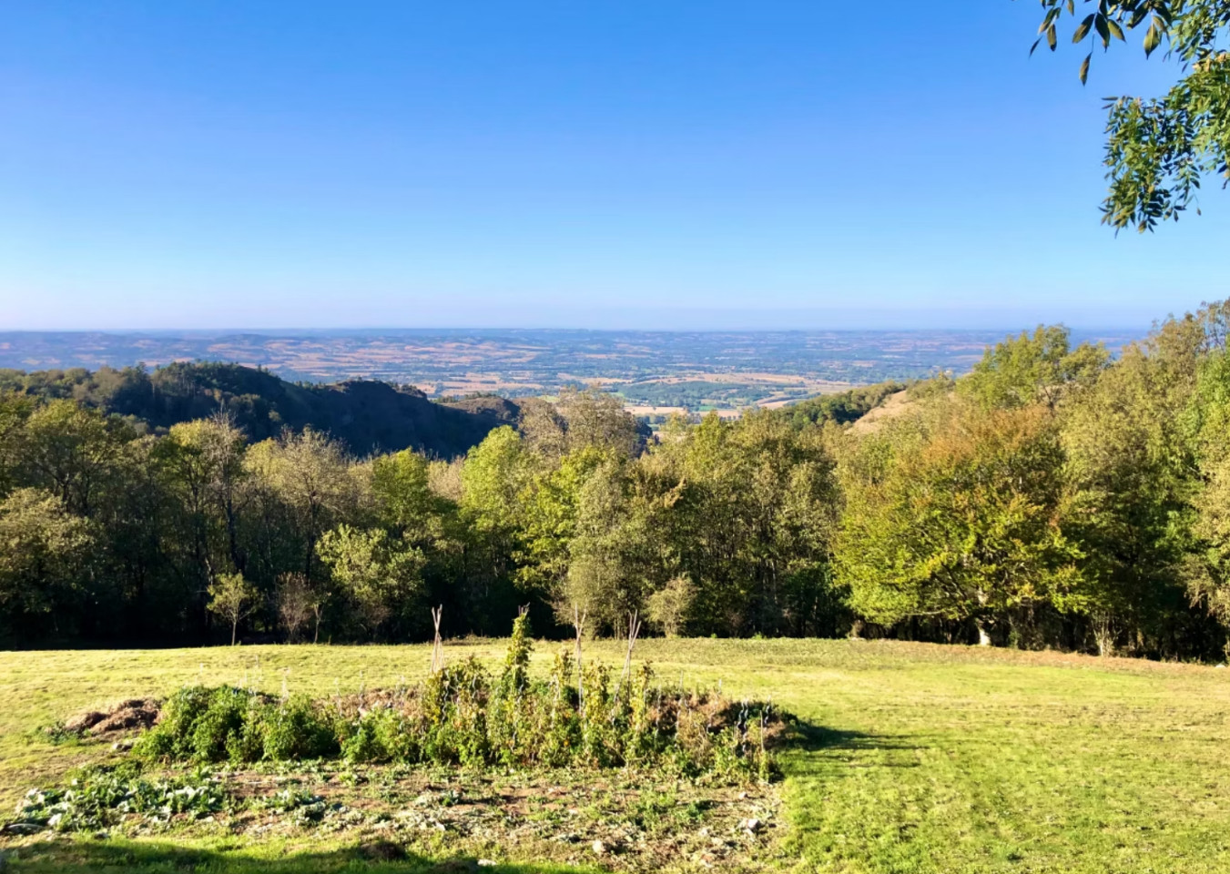 Montagne Noire, forêt et grand calme