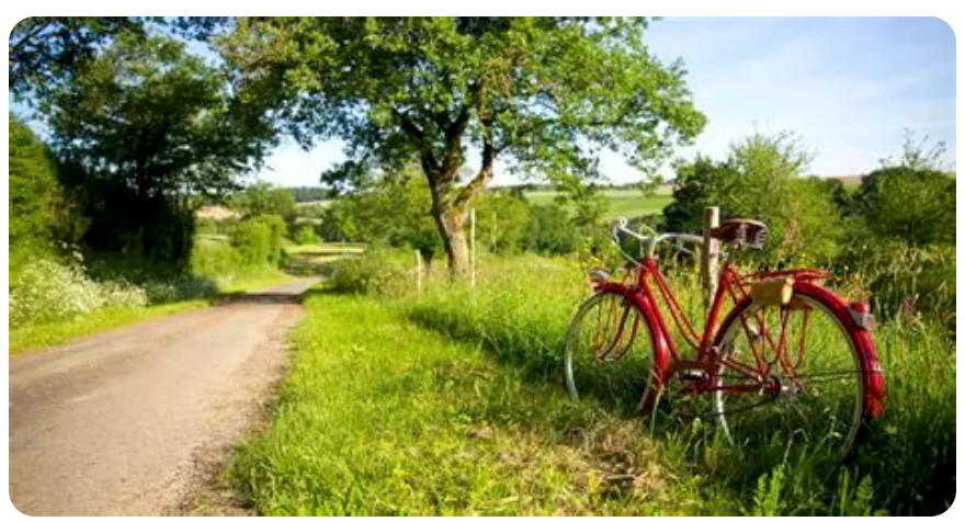 Location de vélo sur place