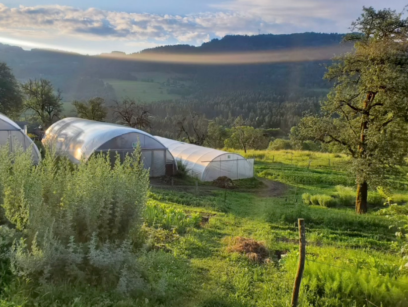 A côté de la ferme de permaculture maraichere