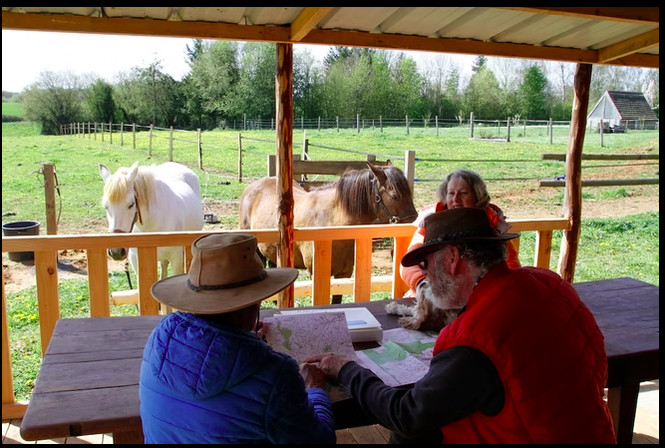 Paddock chevaux