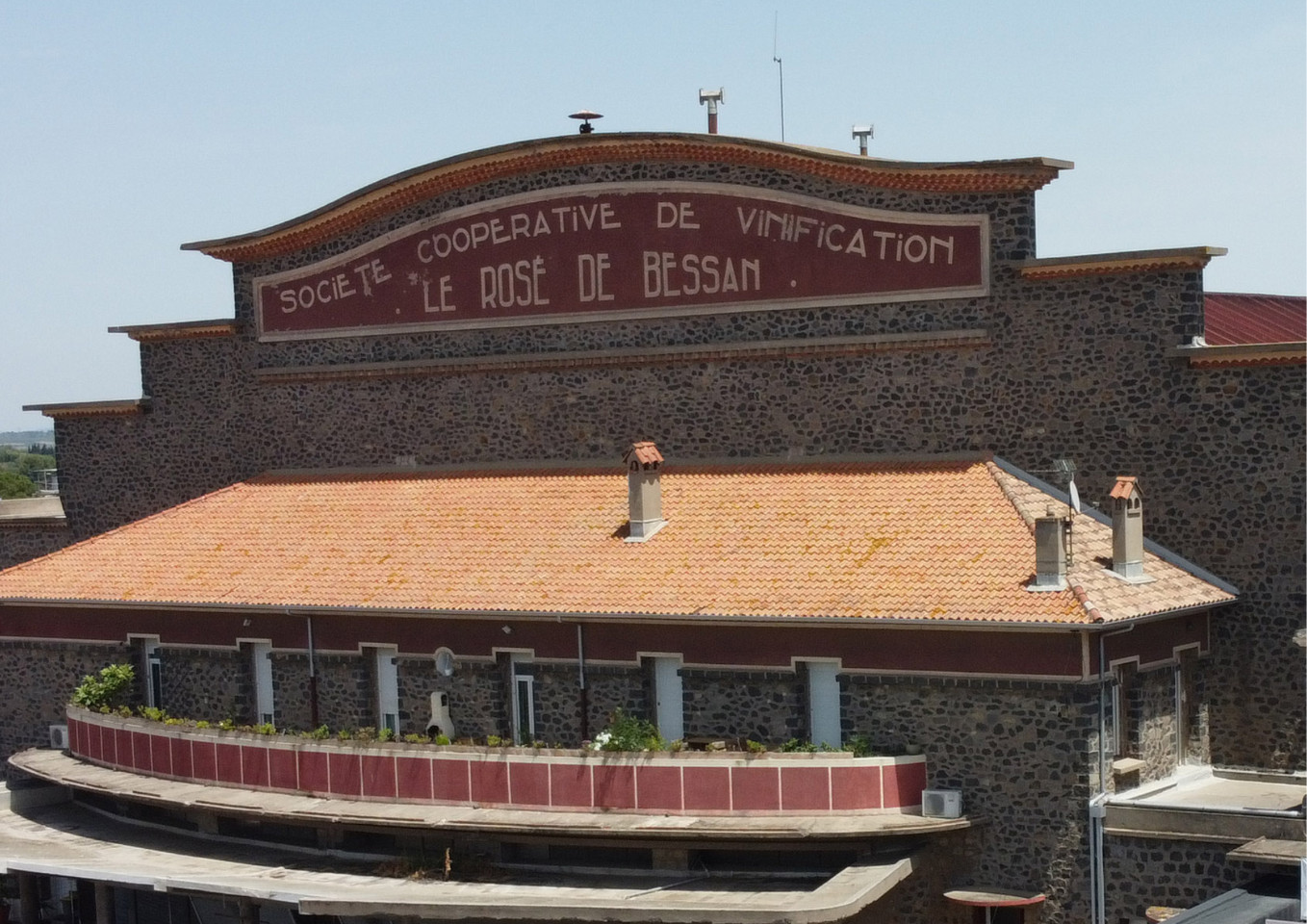 🍷 Immersion Viticole – À la Découverte des Caves de la Région