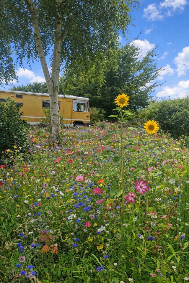 Au calme, en pleine nature