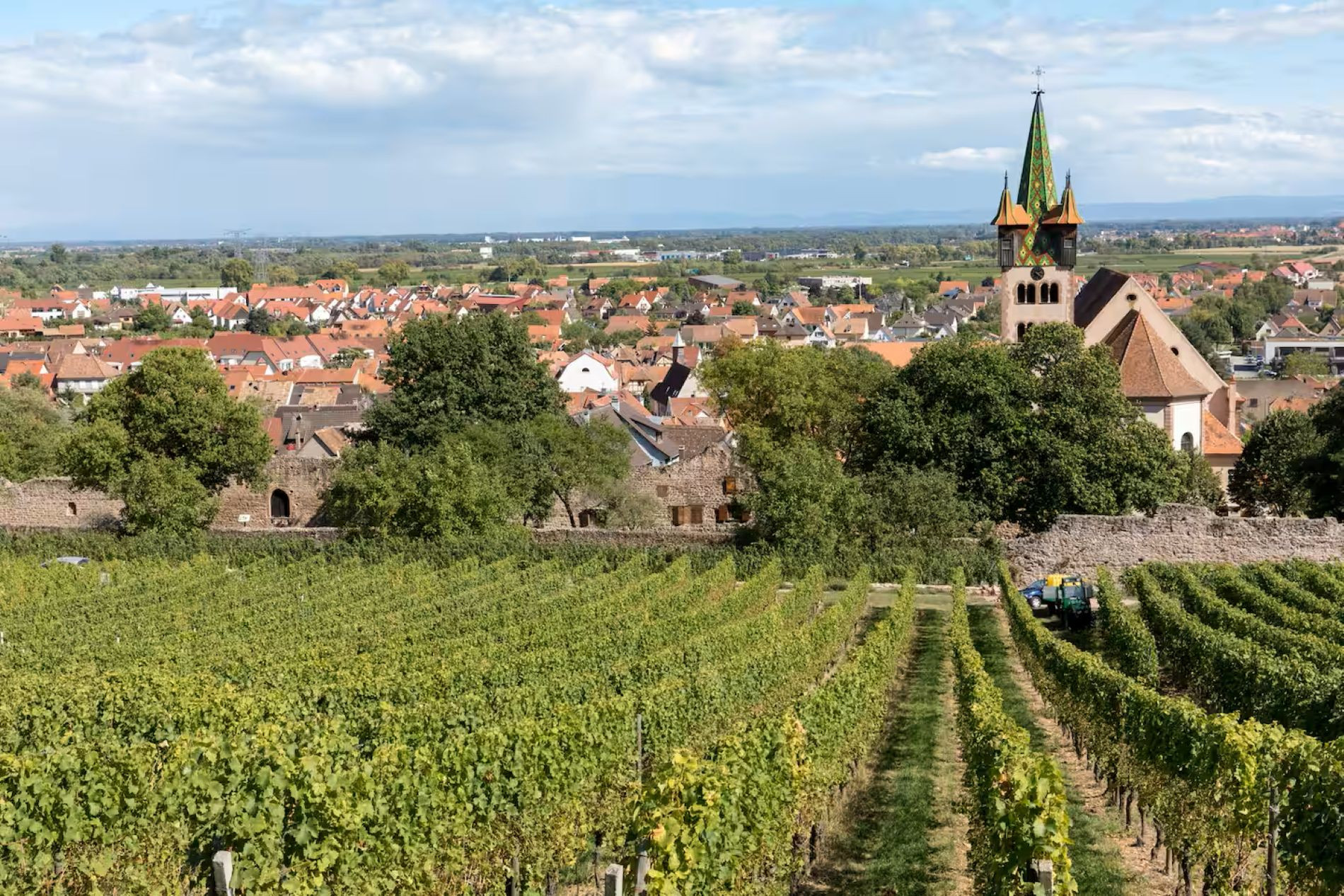 Au cœur du vignoble alsacien