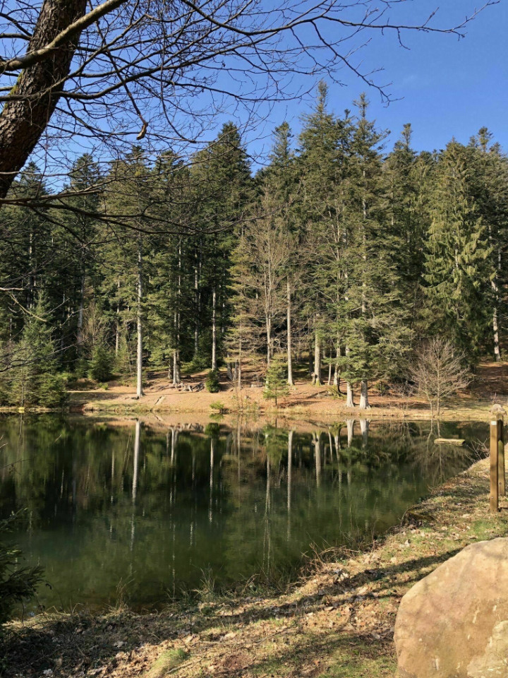 Location de VTT