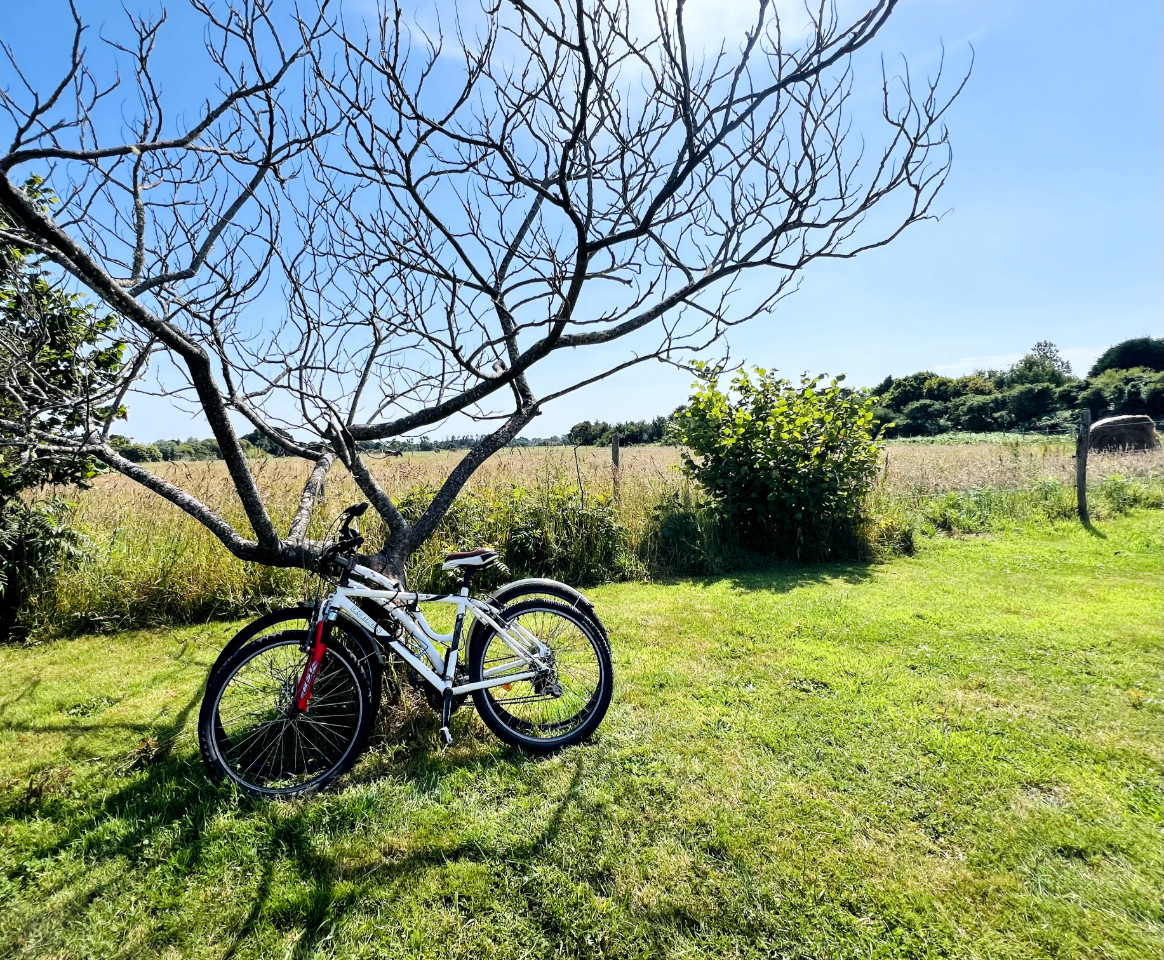 Vélos avec casques et antivols