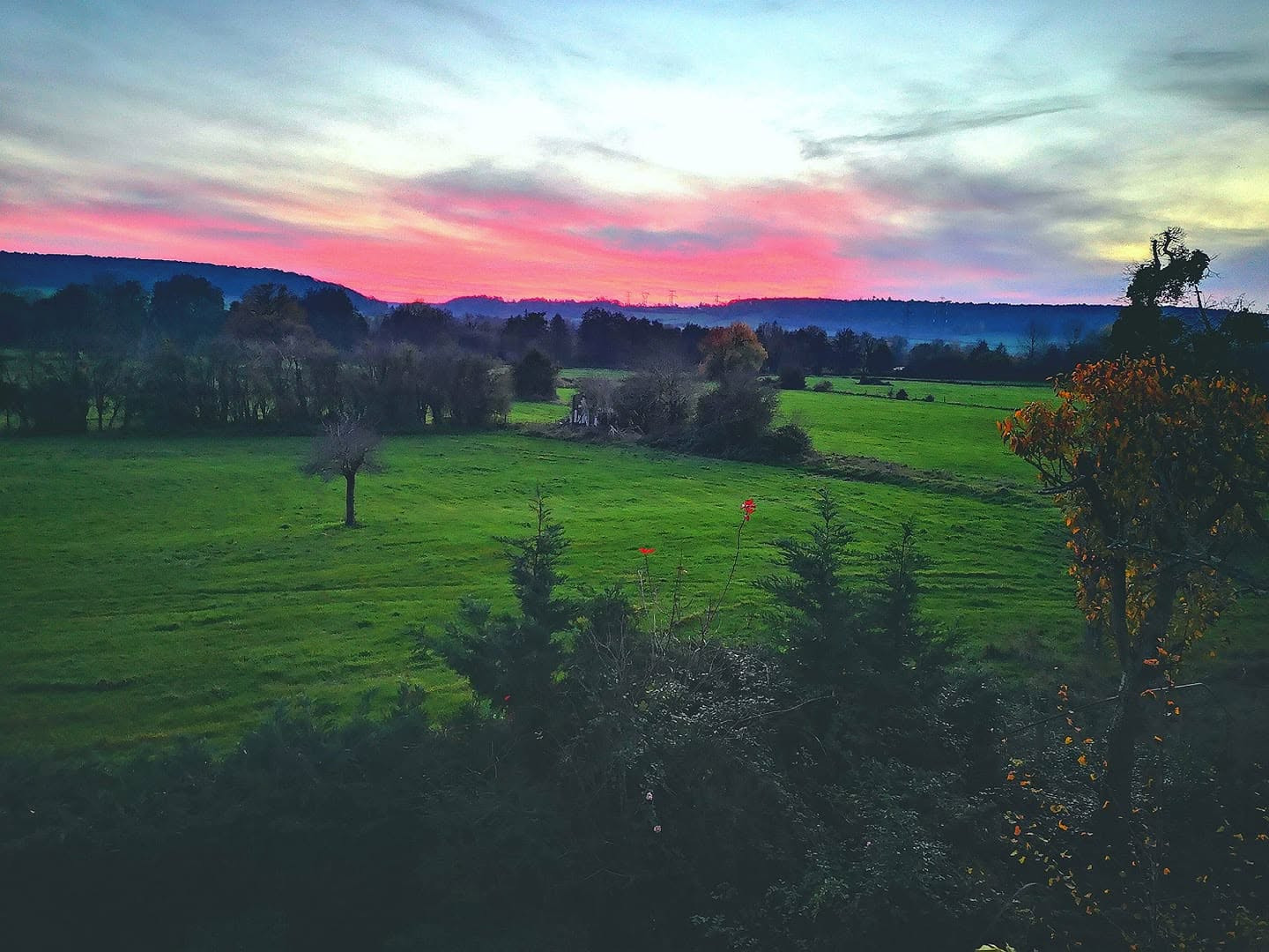 PLEINE NATURE