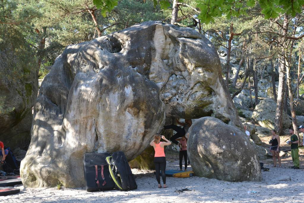 Escalade et randonnées en forêt de Fontainebleau, parmi les sites les plus réputés : L'Eléphant, la Dame Jouanne...