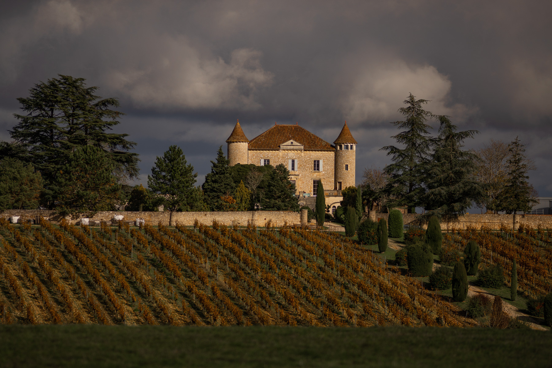Visites des domaines viticoles