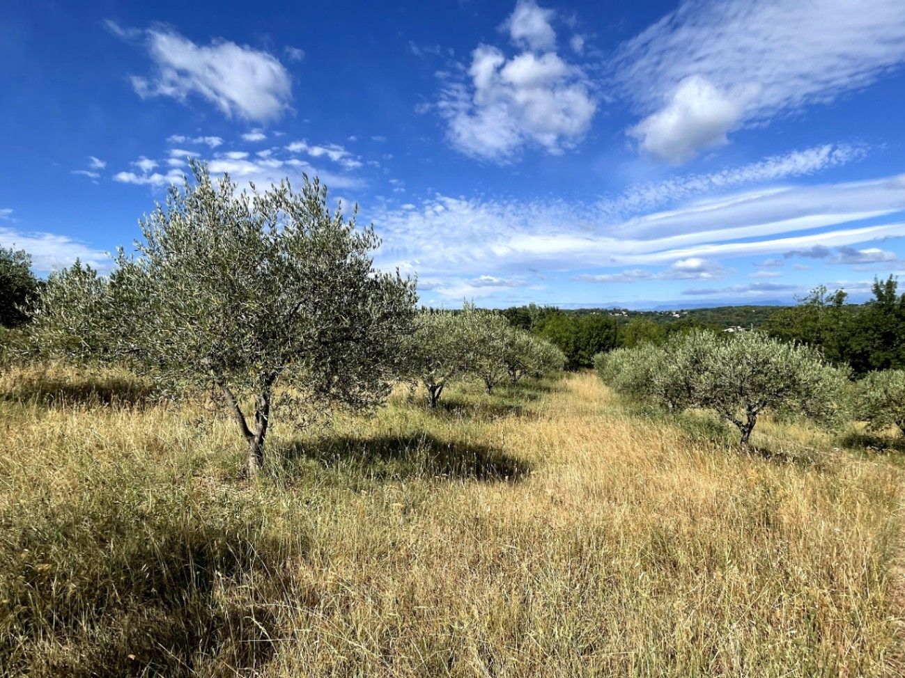 Immersion dans la nature, au pieds des Cévennes
