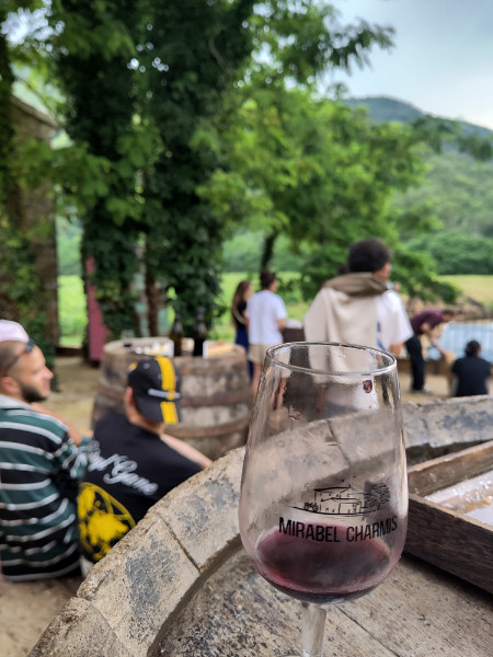 Visite et dégustation au domaine