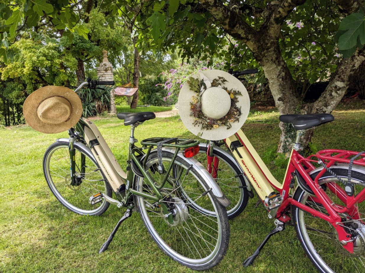 Location de vélos électrique ou non sur place