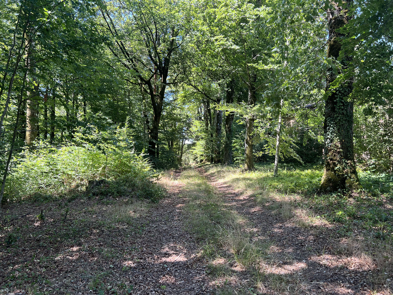 Une nature préservée