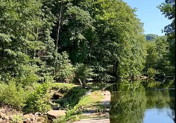 Au fil de la rivière