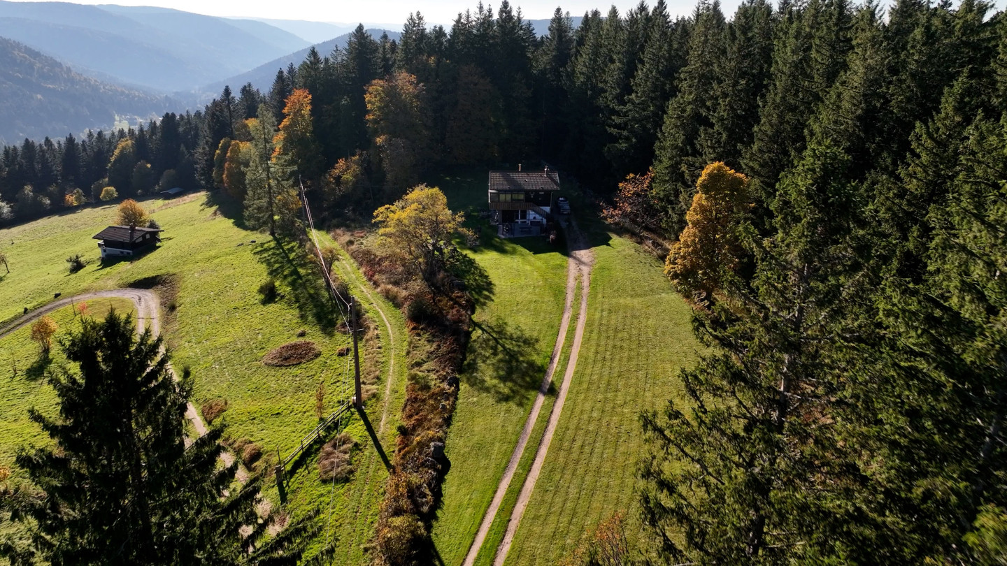 Sur les hauteurs de Gérardmer à 1000m. d'alt