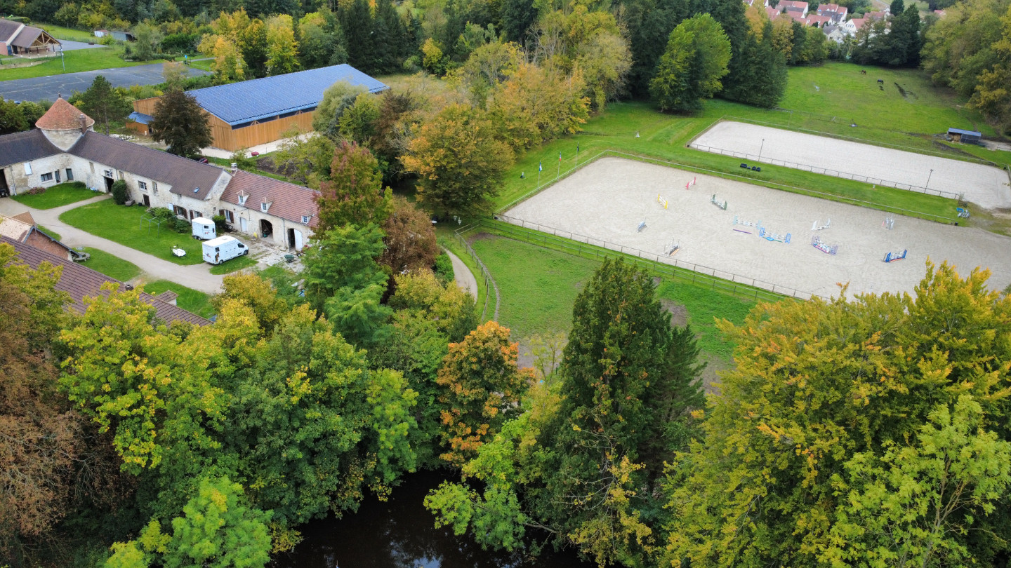 Visite du haras et des chevaux