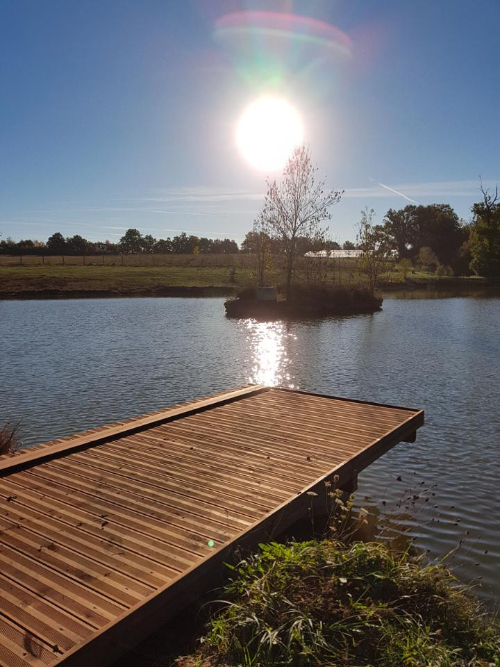 Au bord du lac, en pleine nature