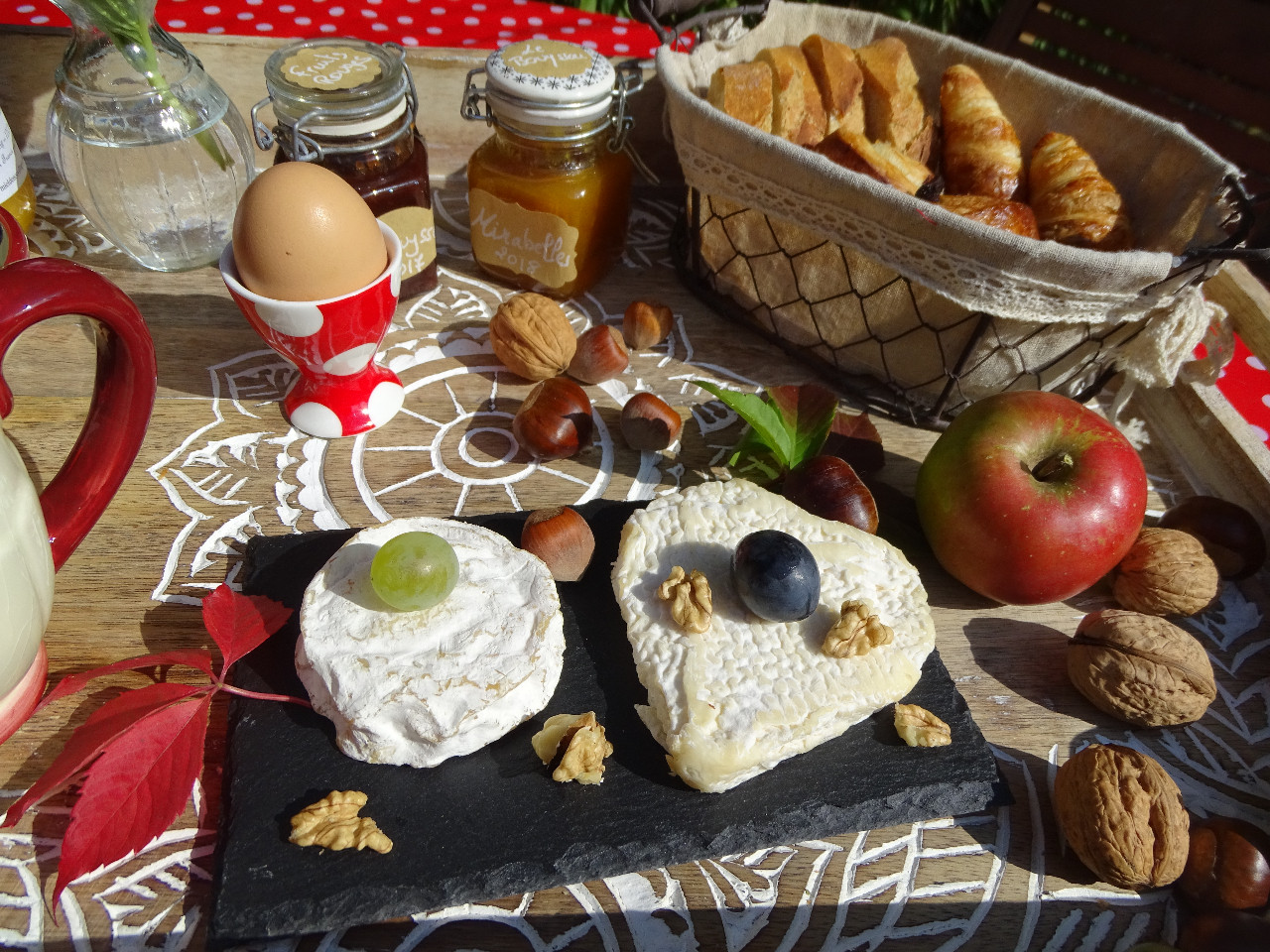 Poulailler sur place et oeufs frais