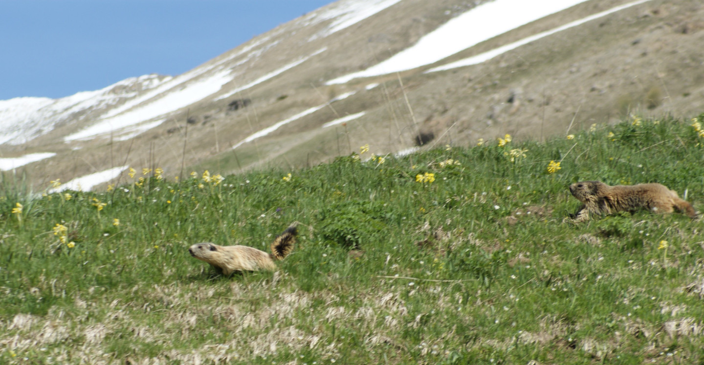 Le Val d'Allos...On en profite toute l'année !