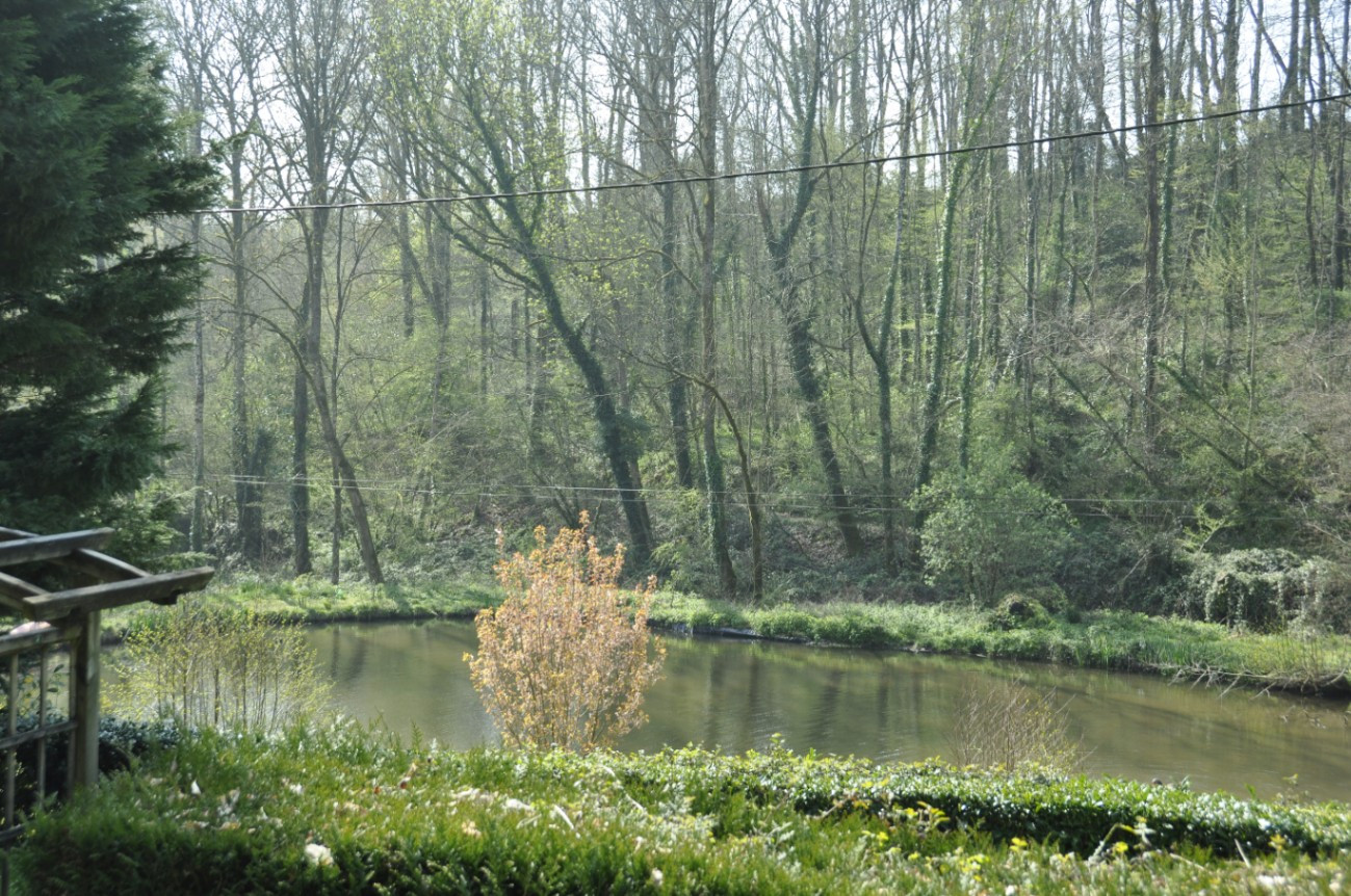 Sur les rives des Jinchères