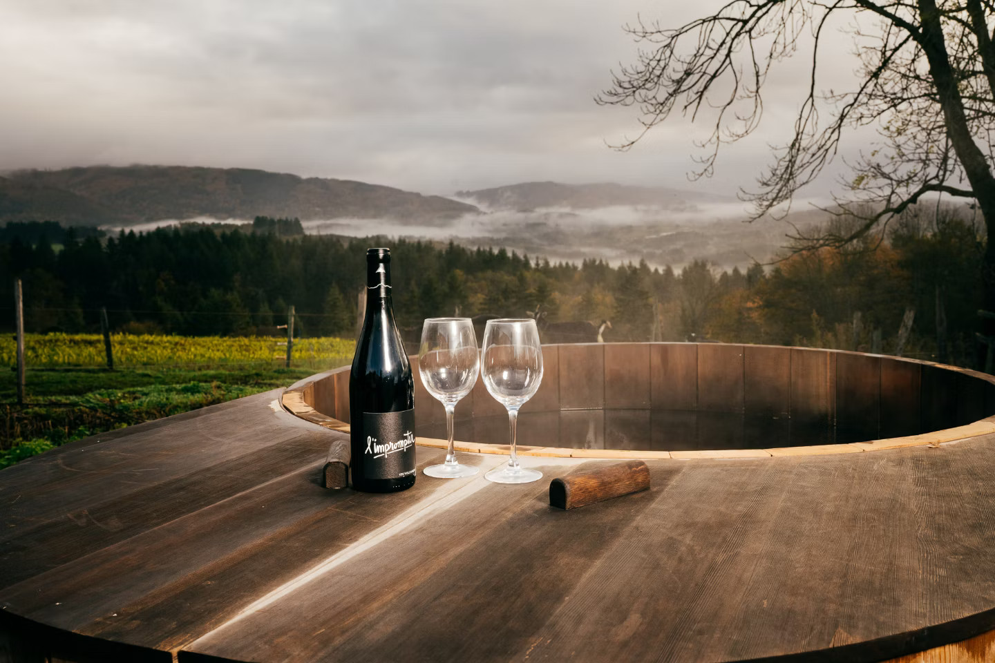 Bain nordique avec vue imprenable sur les monts du Forez