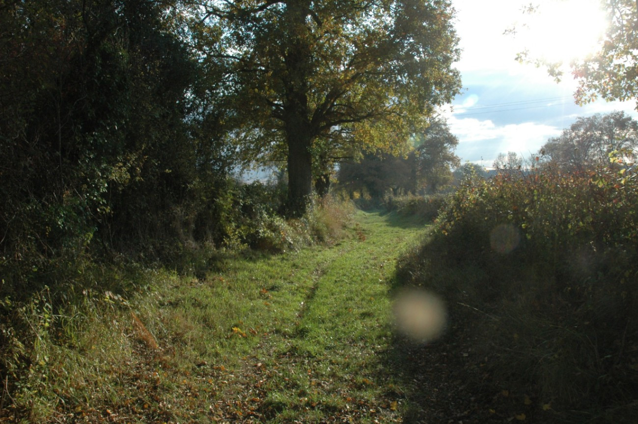 Voie verte et chemins rando