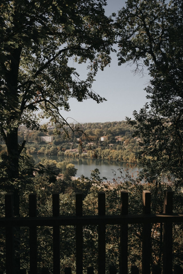Au bord de la Saône