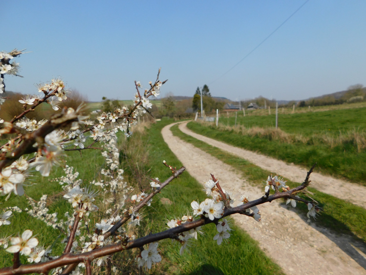 Le calme de la campagne