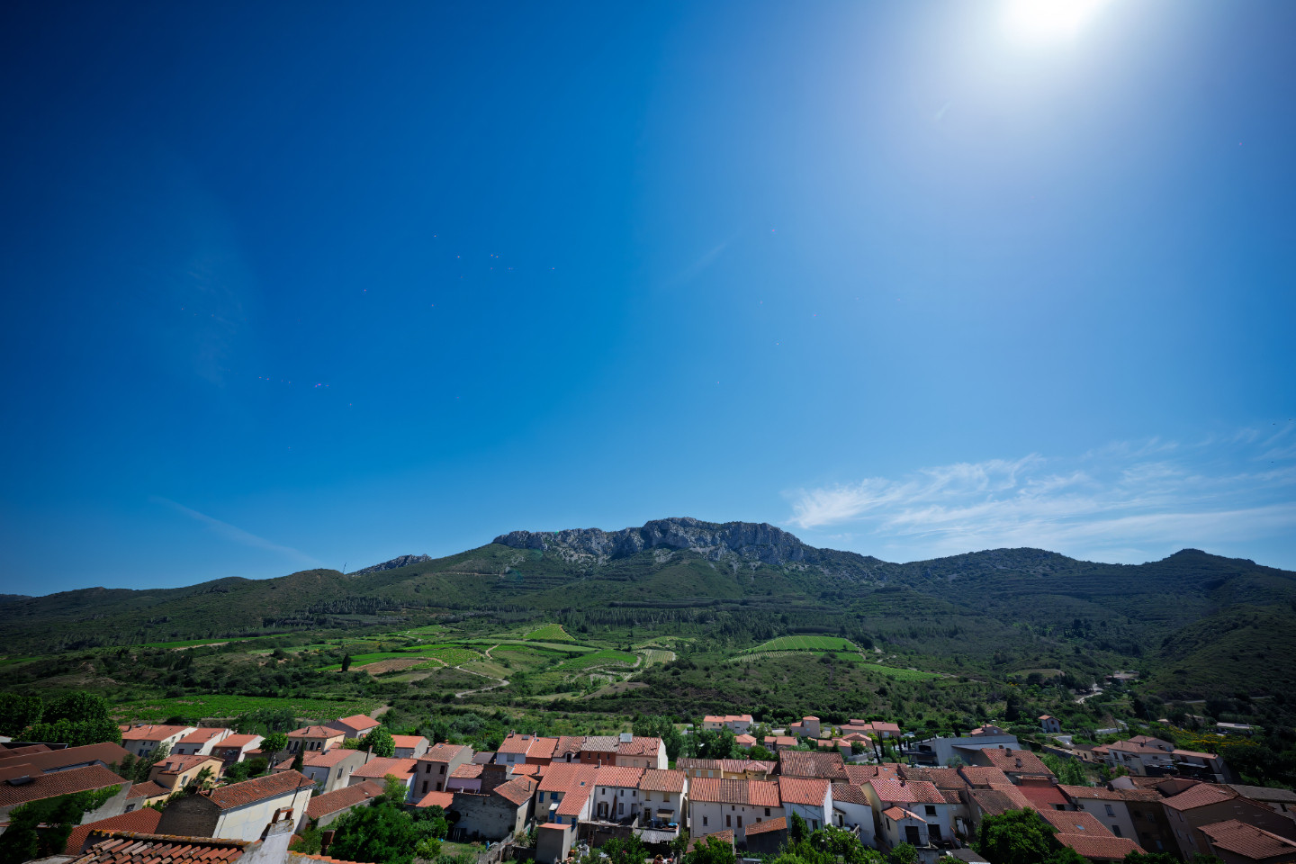 Vue montagne et vignoble